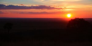 Afrikanischer Sonnenuntergang über der Savanne mit Wildtieren.