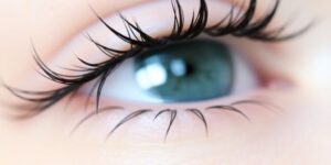 Natürliche Wimpern mit dezentem Glanz, sanft geschwungen.
