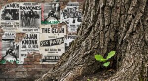 Eiche mit jungem Trieb vor Punk-Konzert-Plakaten – Symbol für späte Vaterschaft und Rocklegende