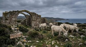 Weiße Esel und alte Ruinen in der Landschaft von Asinara, Sardinien